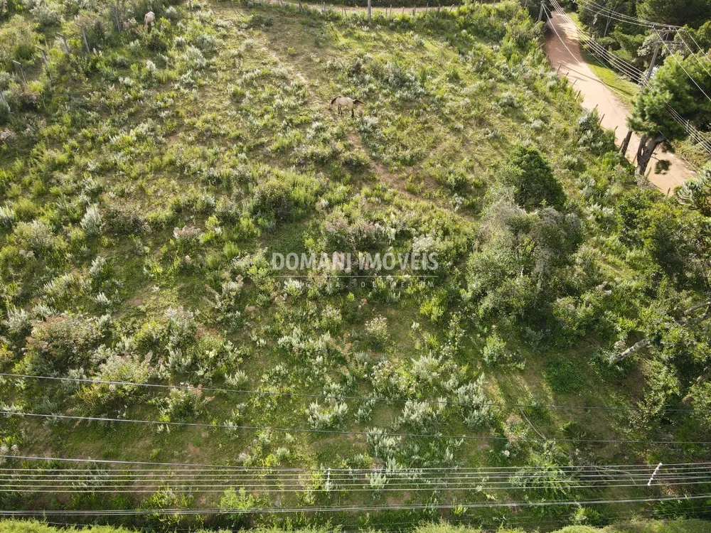 Terreno, 2020 m² - Foto 7