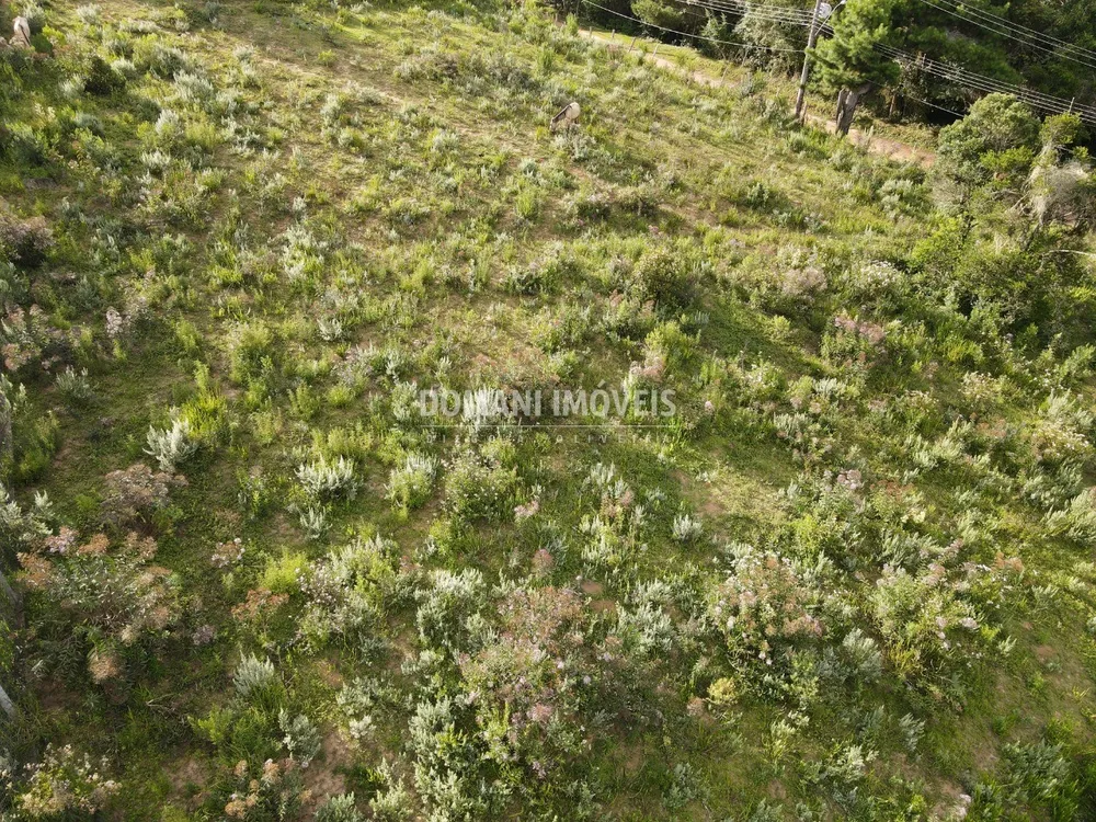 Terreno, 2020 m² - Foto 2