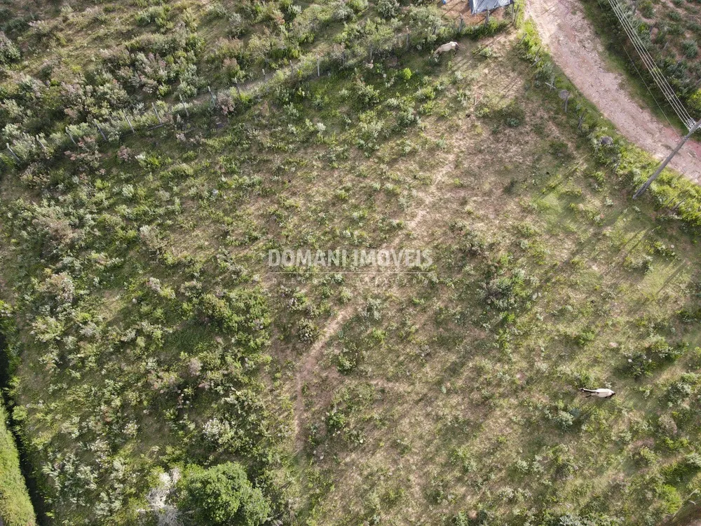 Terreno, 2020 m² - Foto 6