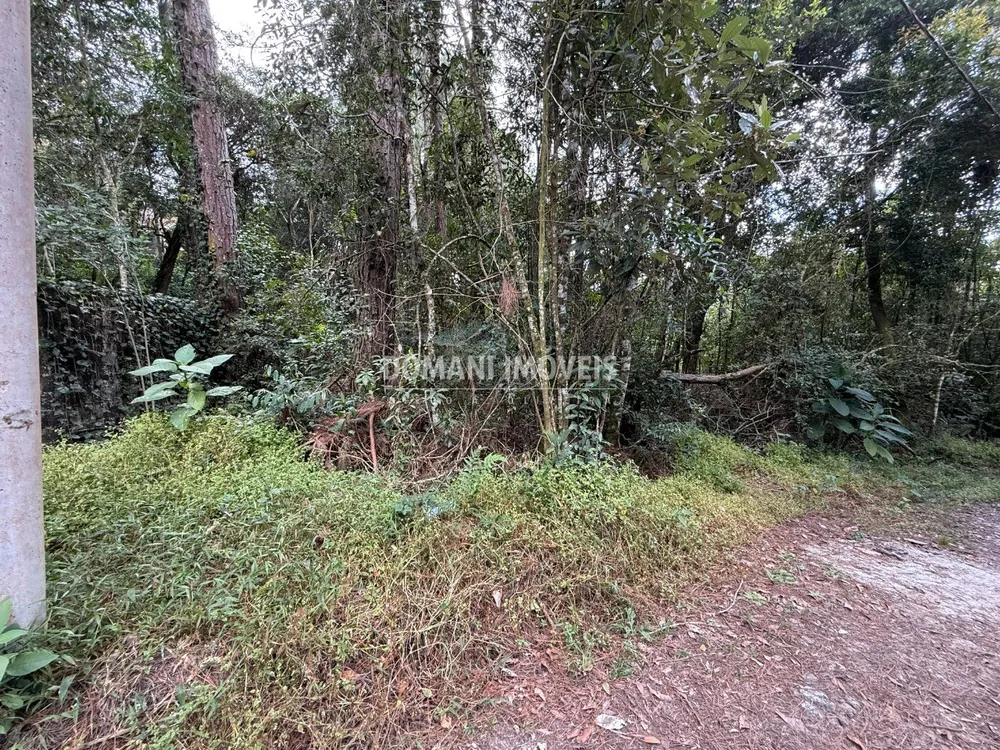 Terreno, 1357 m² - Foto 7