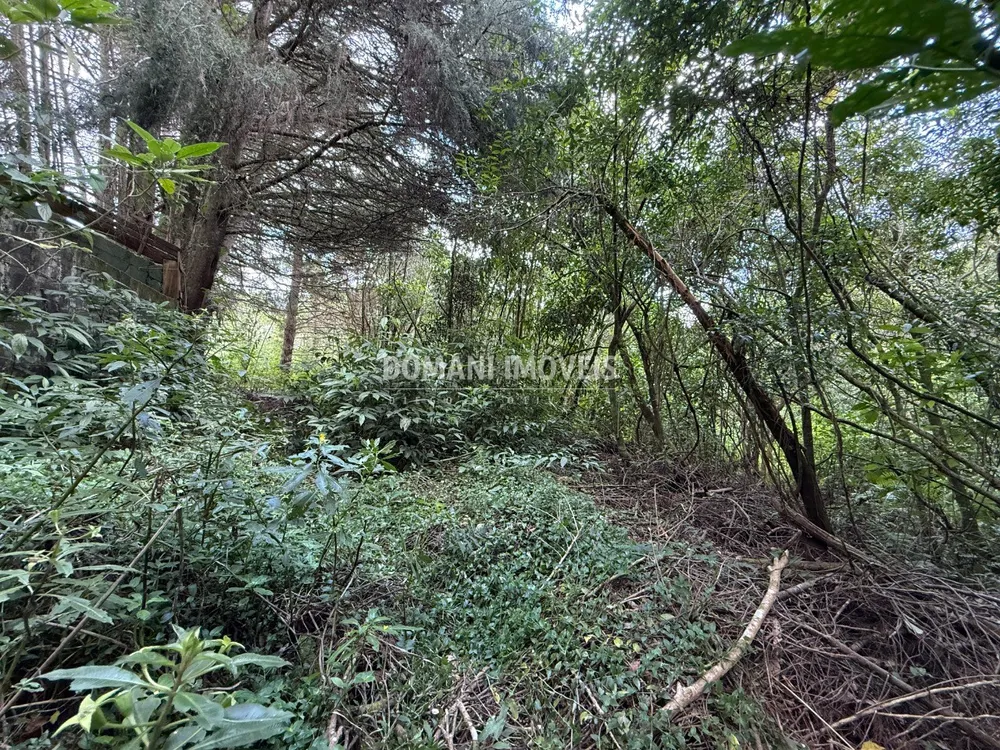 Terreno, 1357 m² - Foto 6