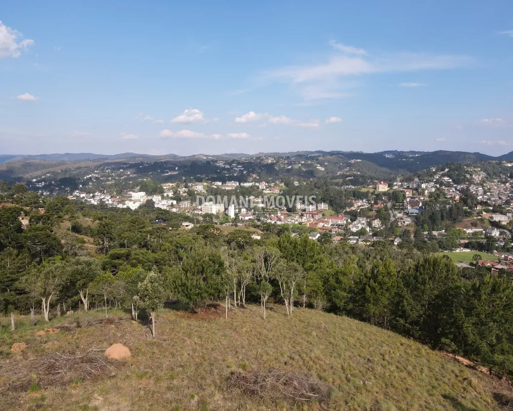 Terreno à venda, 1350m² - Foto 1