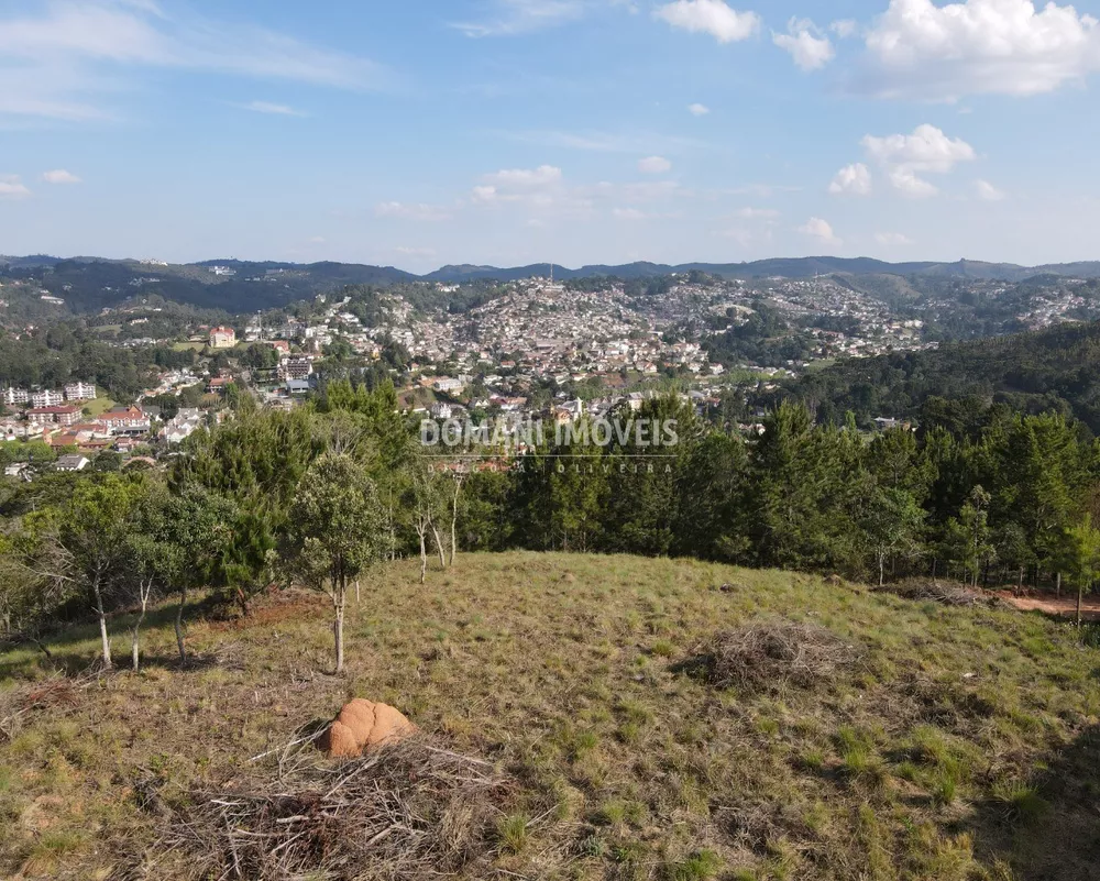 Terreno à venda, 1350m² - Foto 7