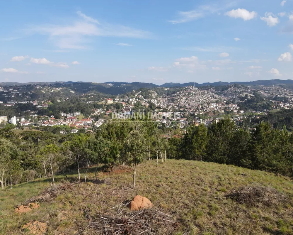 Terreno à venda, 1350m² - Foto 4