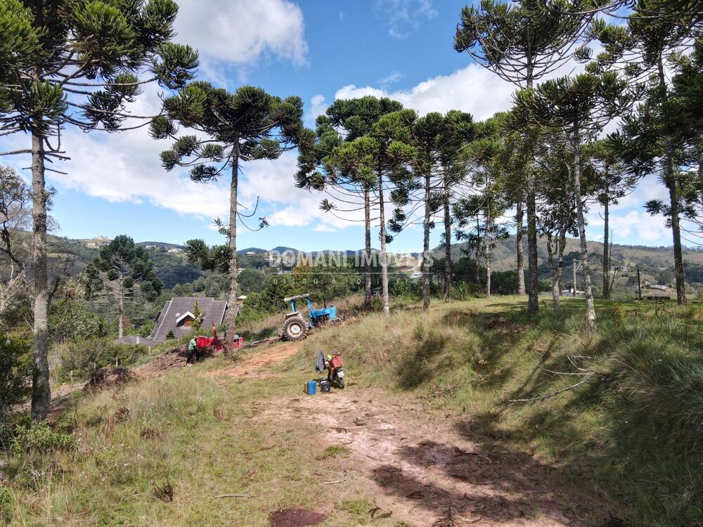 Terreno, 2420 m² - Foto 3
