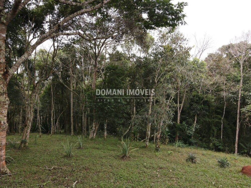 Terreno, 4860 m² - Foto 5