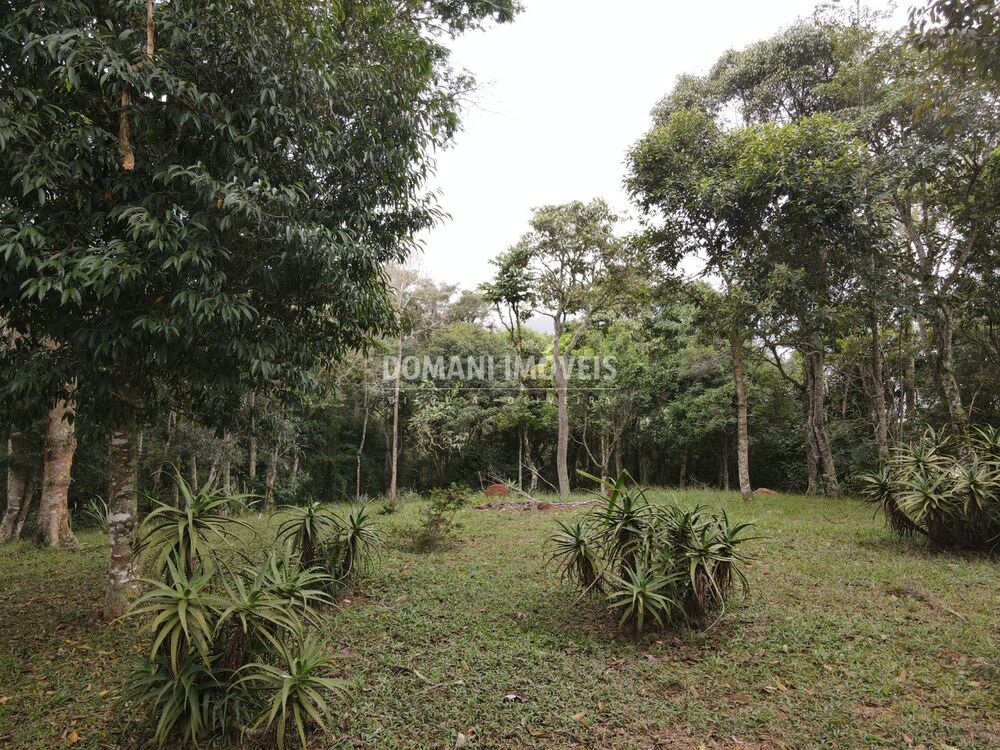 Terreno, 4860 m² - Foto 12