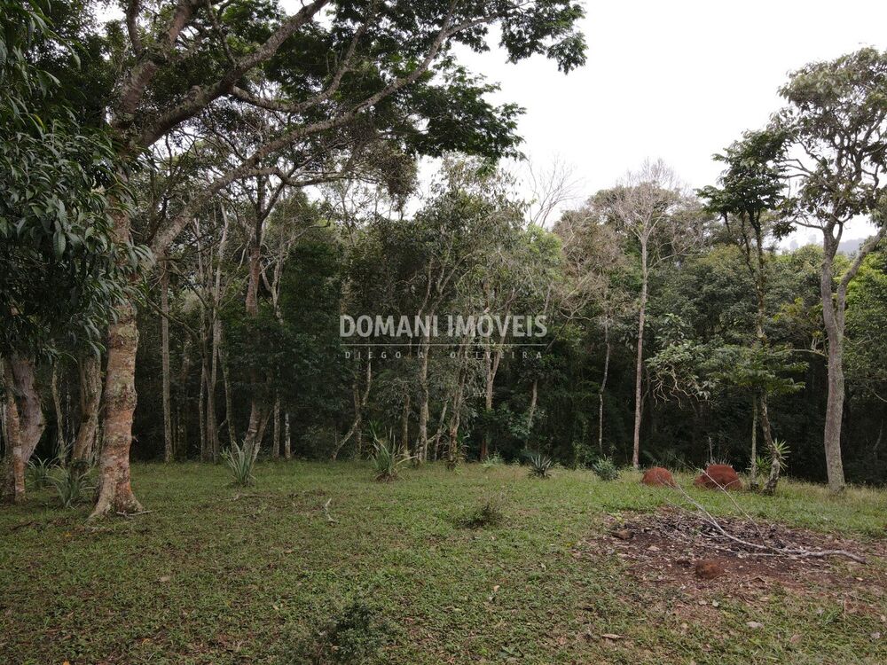 Terreno, 4860 m² - Foto 3