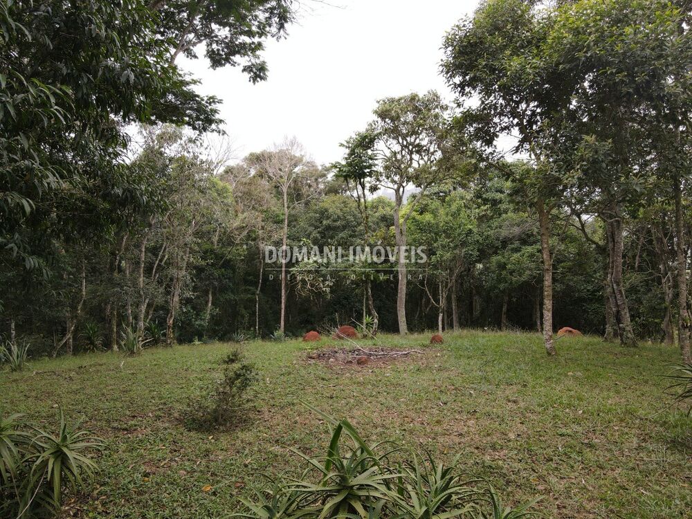 Terreno, 4860 m² - Foto 1