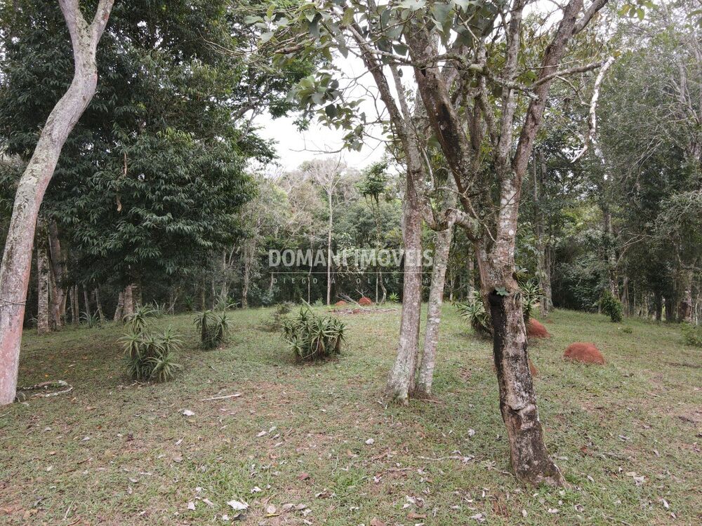 Terreno, 4860 m² - Foto 10