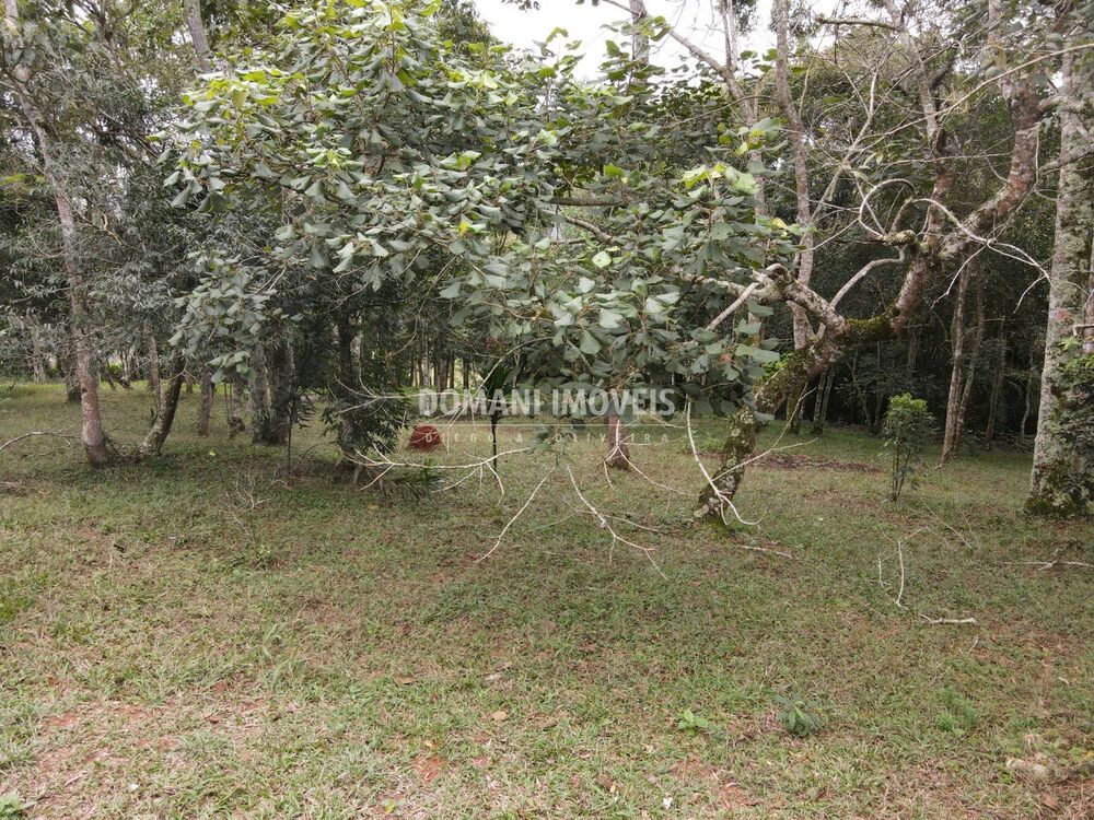 Terreno, 4860 m² - Foto 11