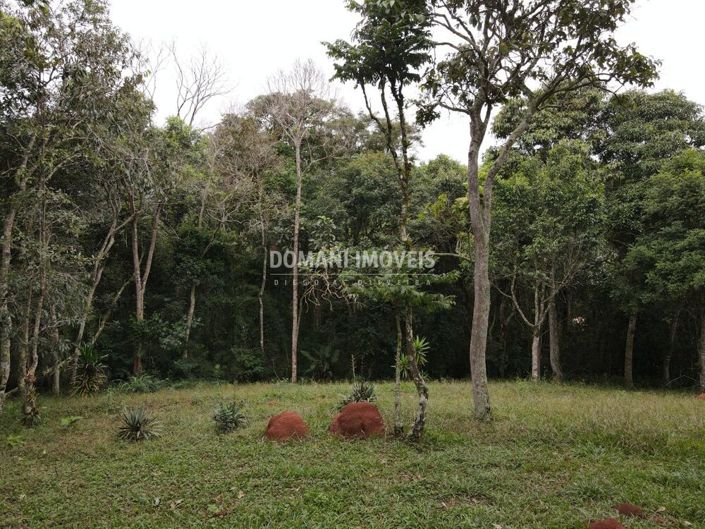 Terreno, 4860 m² - Foto 6