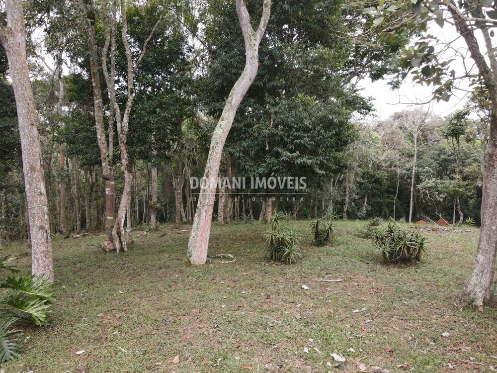 Terreno, 4860 m² - Foto 7