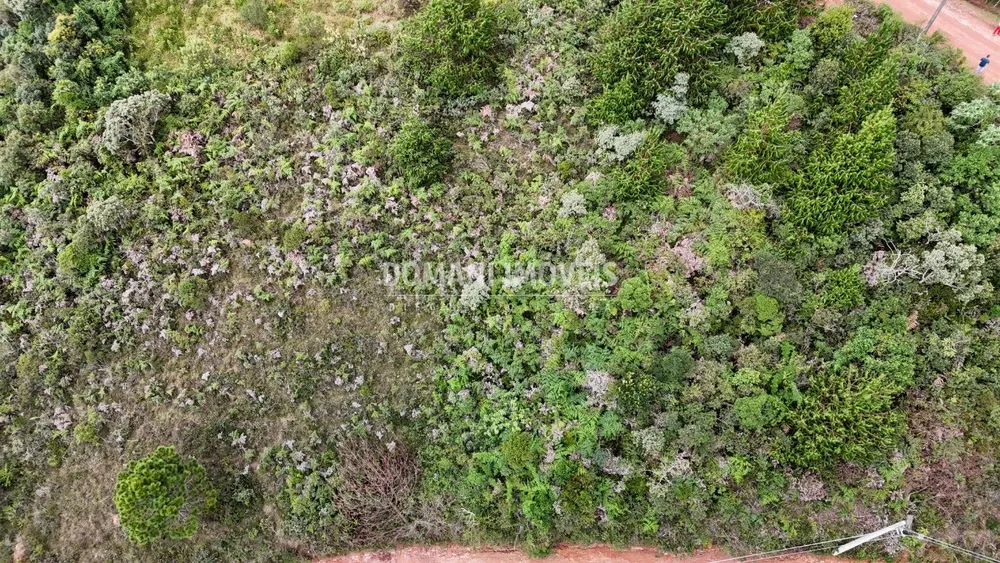 Terreno, 1000 m² - Foto 3