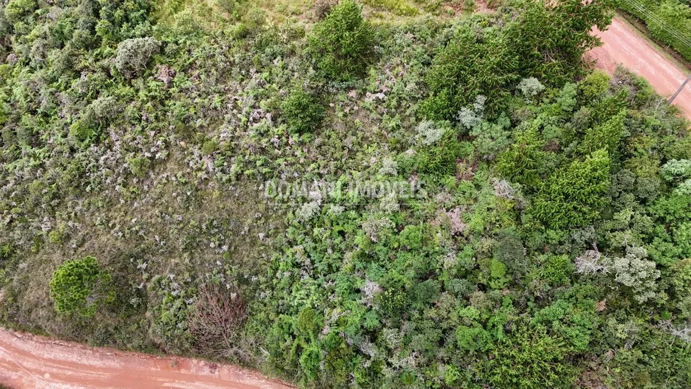 Terreno, 1000 m² - Foto 4