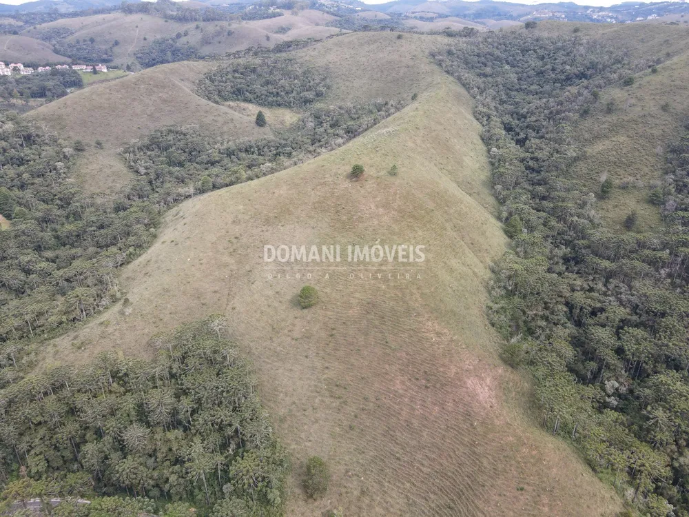 Terreno, 12 hectares - Foto 10