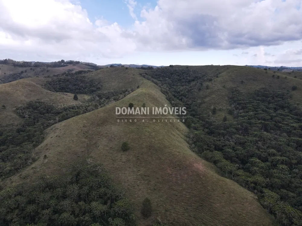 Terreno, 12 hectares - Foto 12
