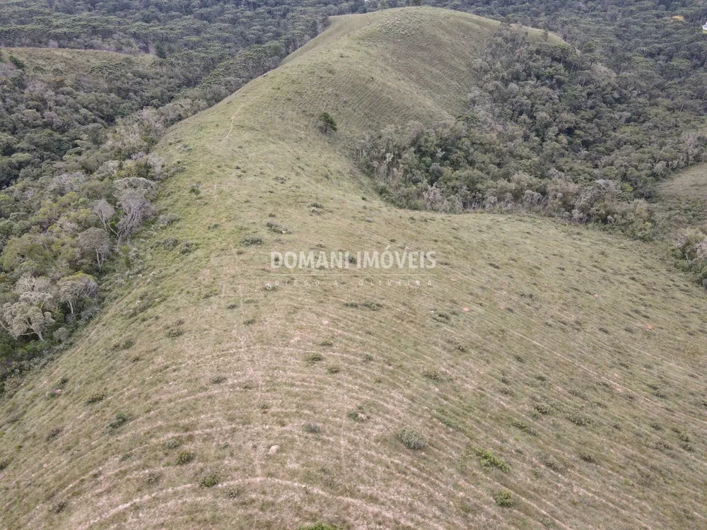 Terreno, 12 hectares - Foto 4