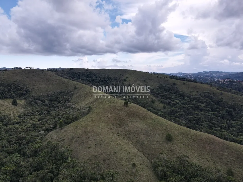 Terreno, 12 hectares - Foto 11