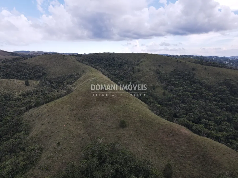 Terreno, 12 hectares - Foto 9