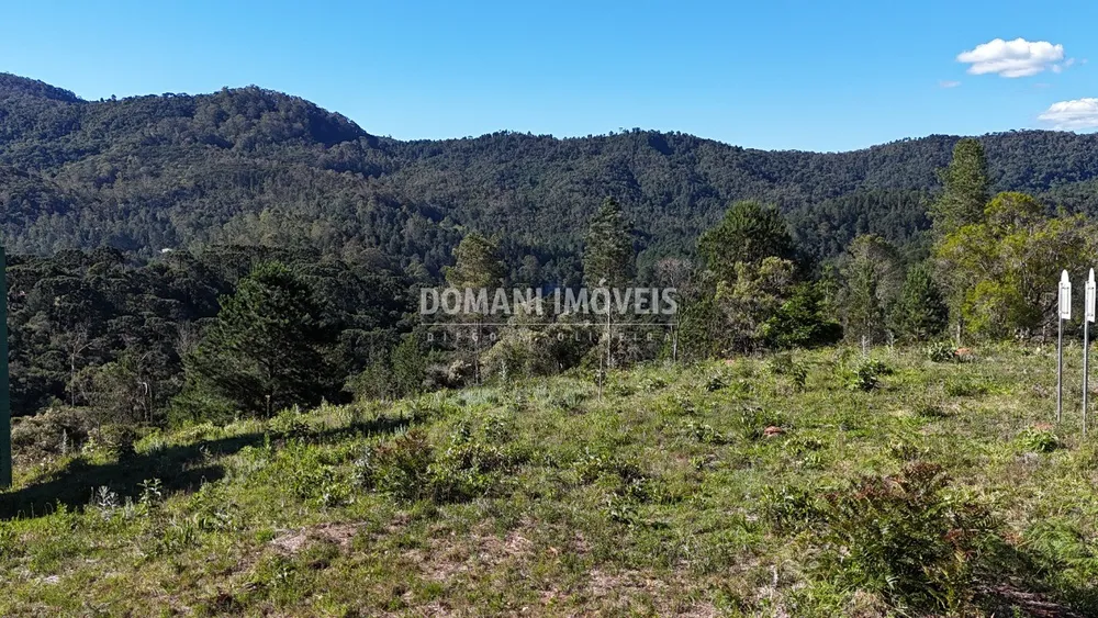 Terreno, 1195 m² - Foto 3