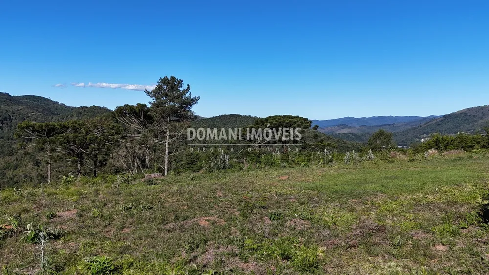 Terreno, 1195 m² - Foto 6