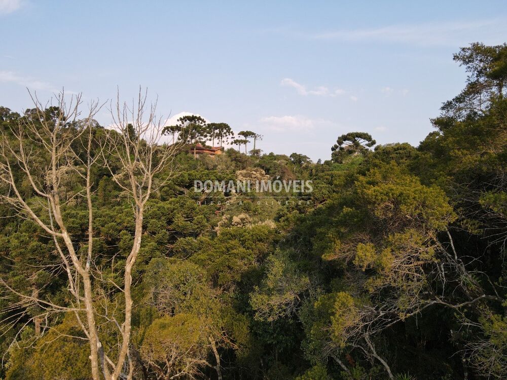 Terreno, 1010 m² - Foto 4