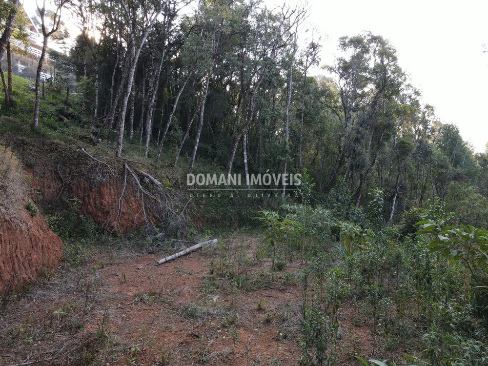 Terreno, 1010 m² - Foto 5
