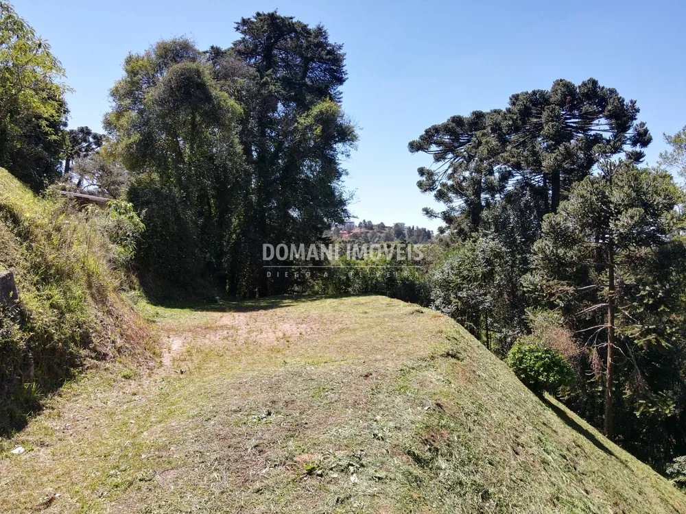 Terreno, 1750 m² - Foto 4