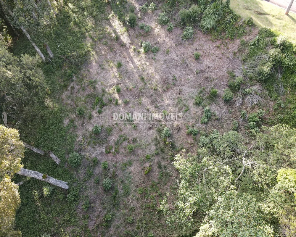 Terreno, 1250 m² - Foto 3