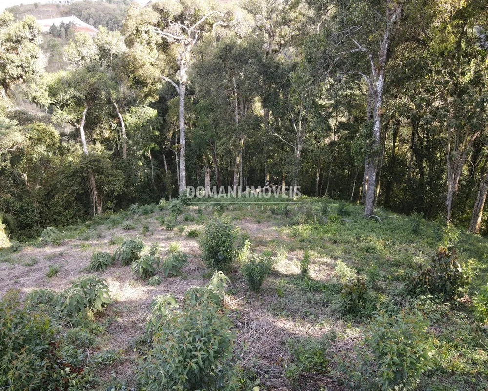 Terreno, 1250 m² - Foto 1