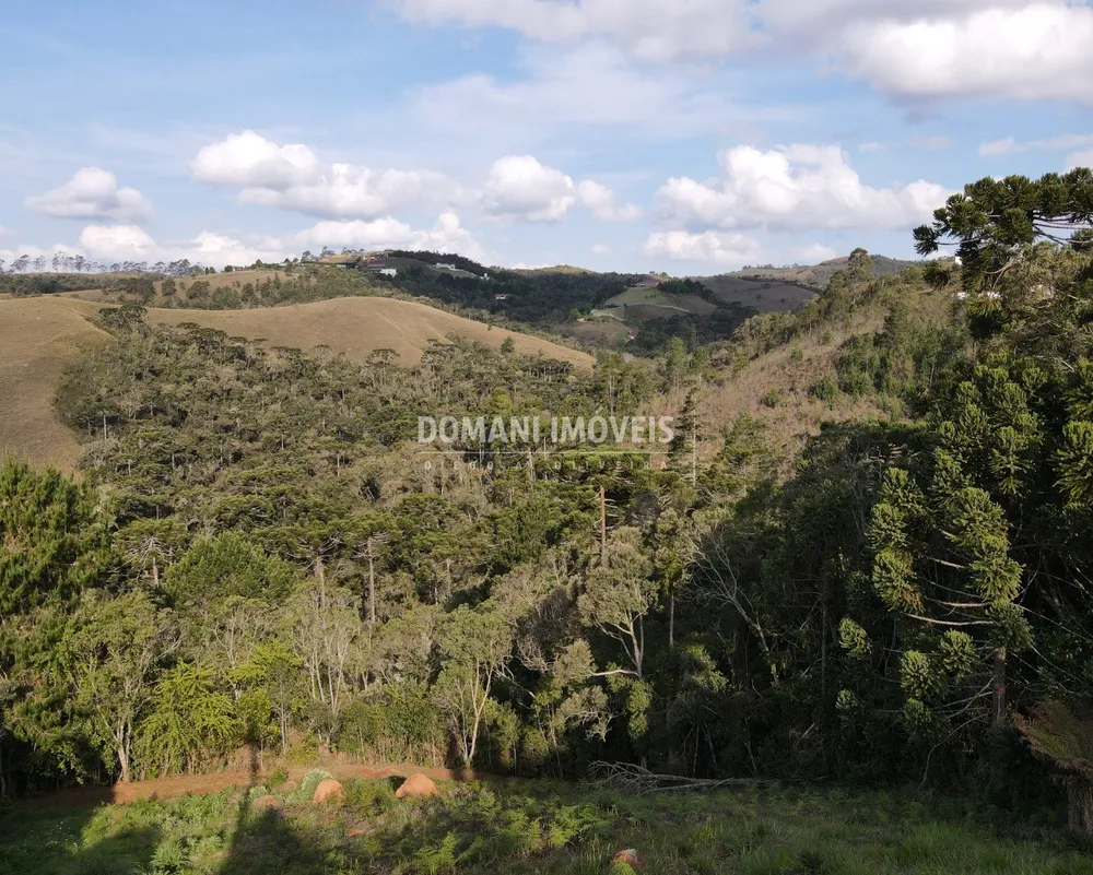 Terreno, 1250 m² - Foto 4