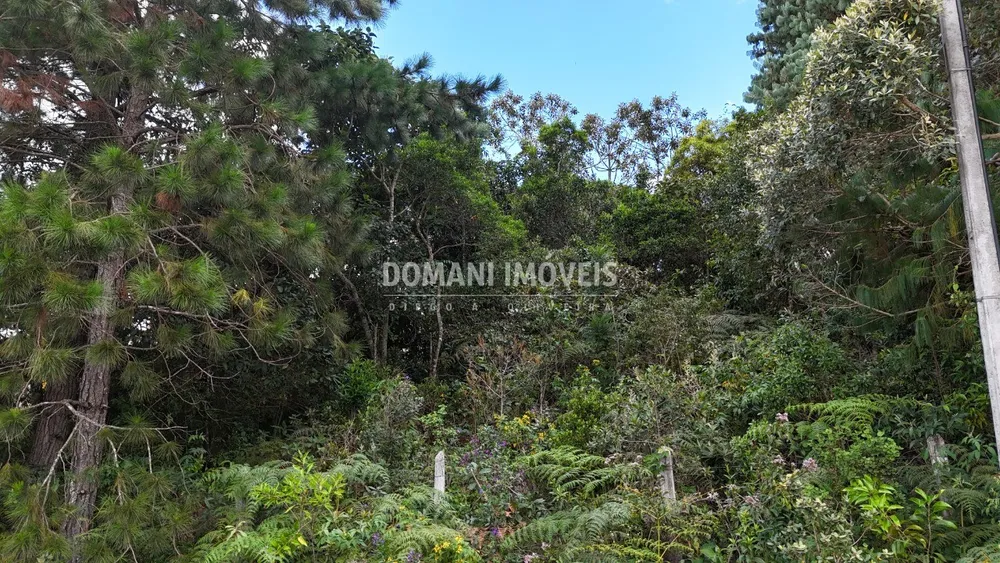 Terreno, 1010 m² - Foto 6