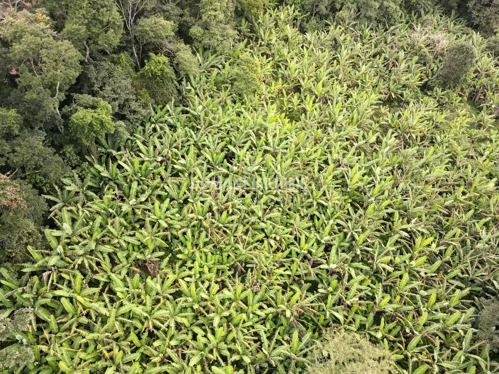 Terreno, 2600 m² - Foto 4