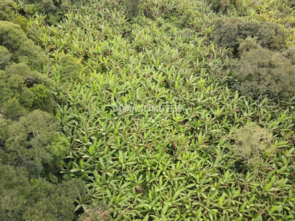 Terreno, 2600 m² - Foto 5