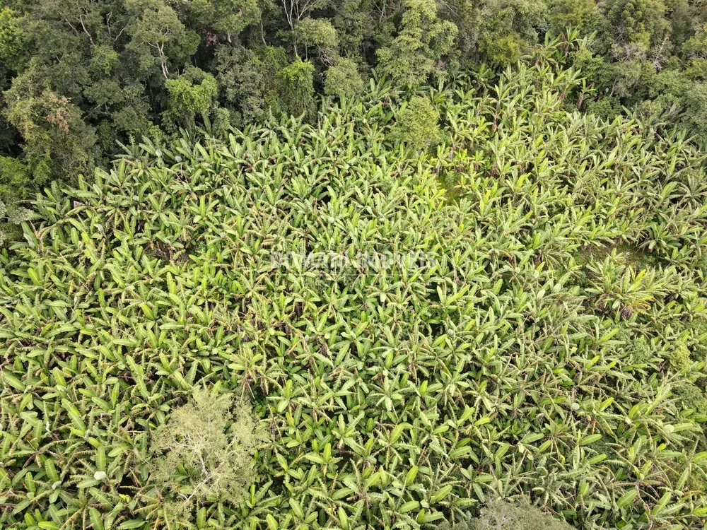 Terreno, 2600 m² - Foto 8