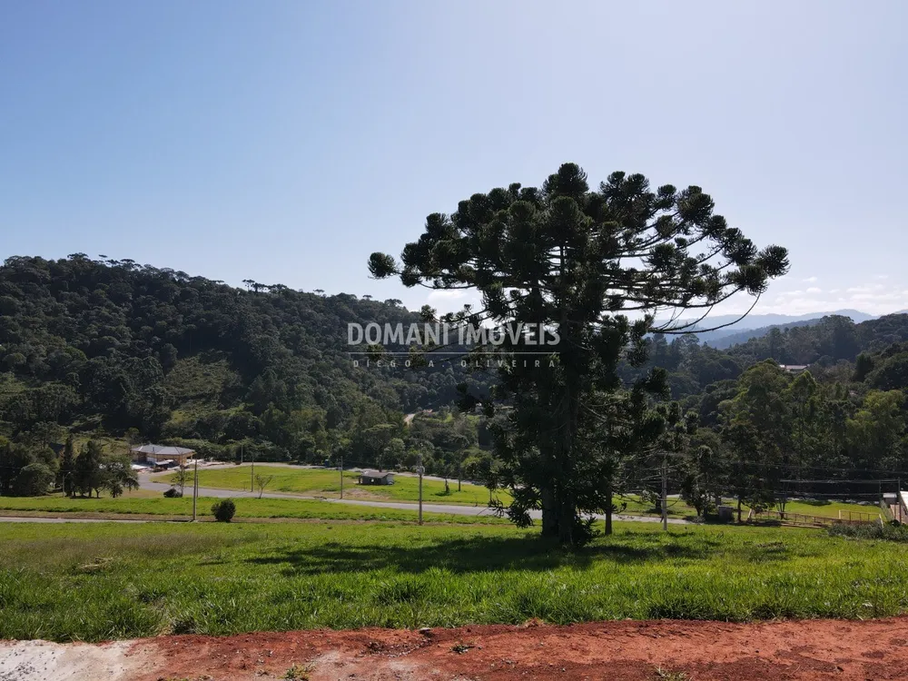 Terreno, 1000 m² - Foto 2