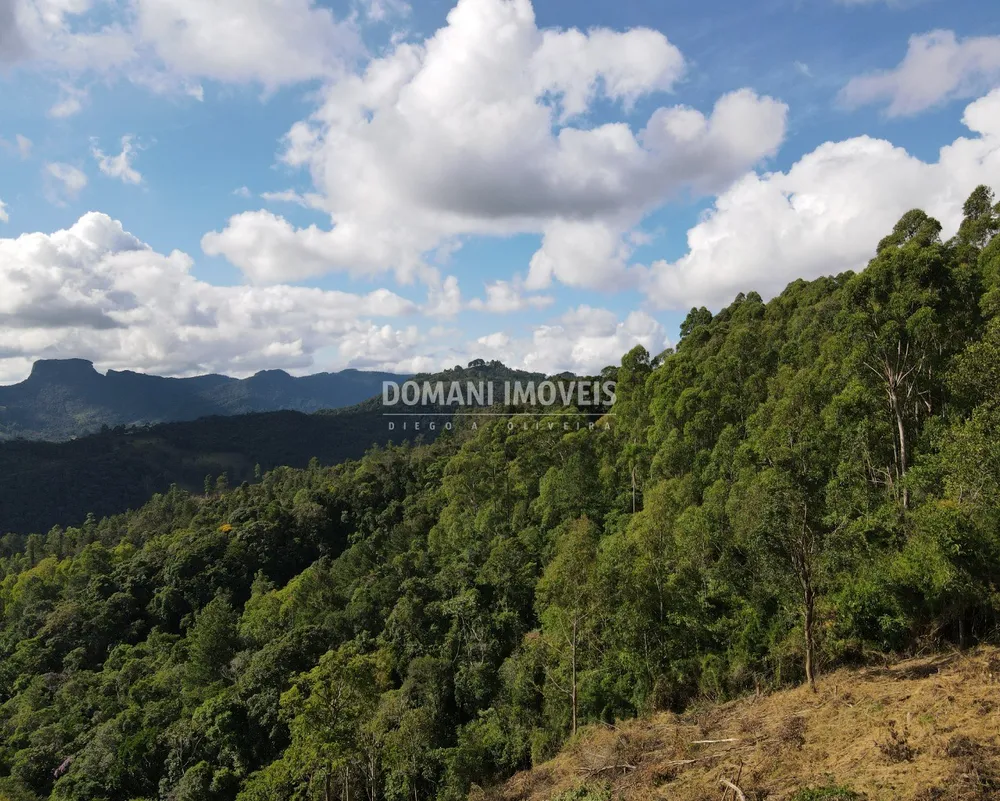 Terreno, 13 hectares - Foto 6