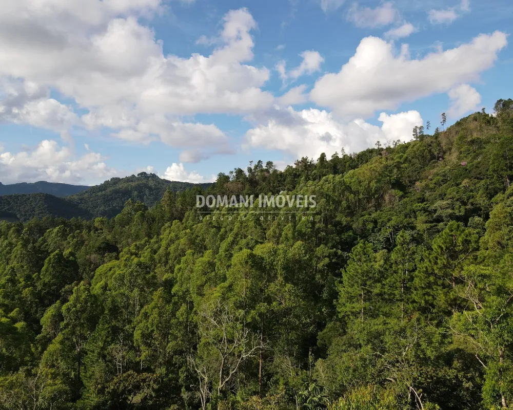 Terreno, 13 hectares - Foto 7