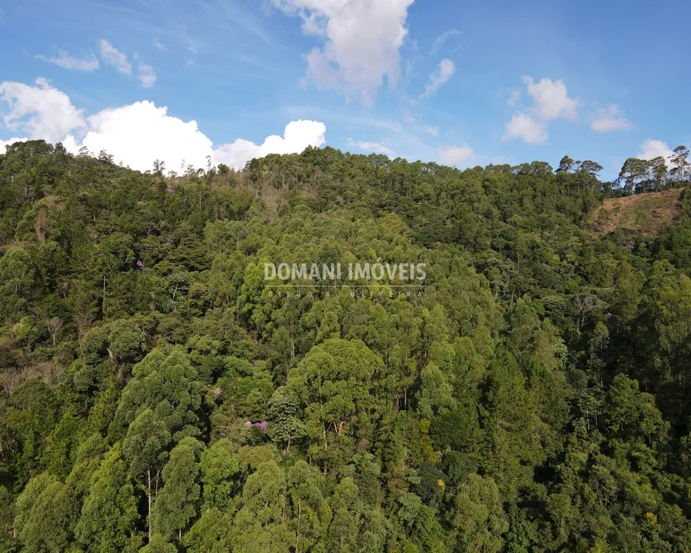 Terreno, 13 hectares - Foto 8