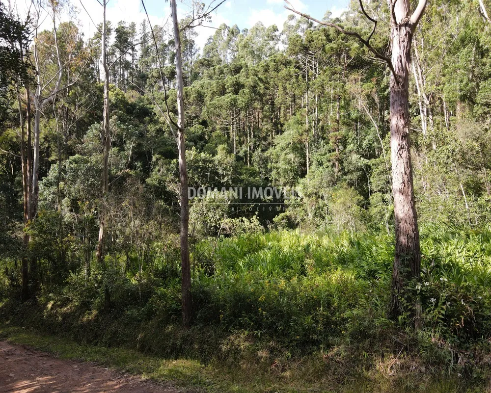 Terreno, 13 hectares - Foto 4