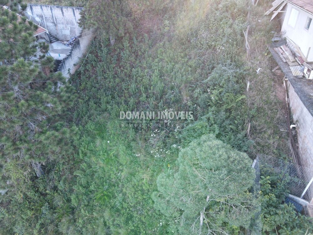 Terreno, 310 m² - Foto 2