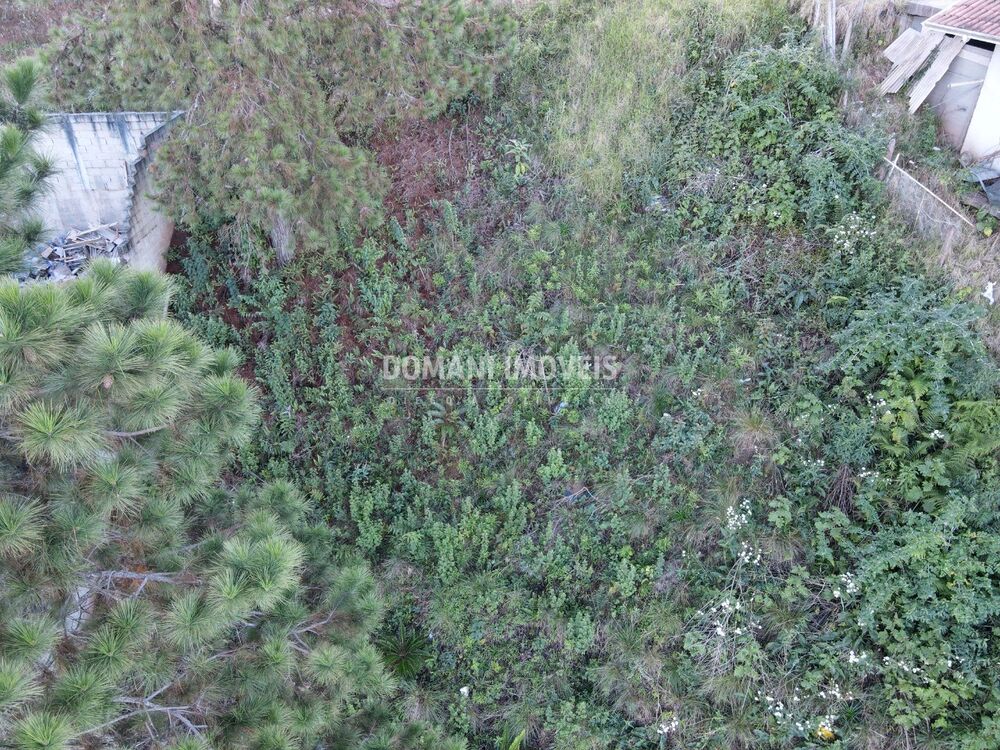 Terreno, 310 m² - Foto 4