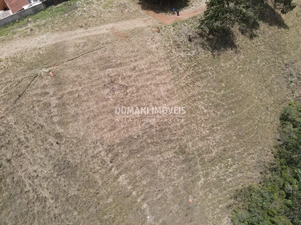 Terreno, 6000 m² - Foto 5