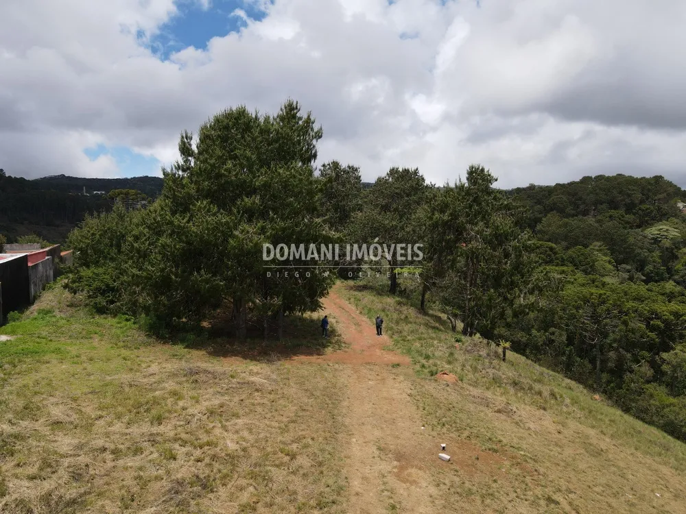 Terreno, 6000 m² - Foto 8