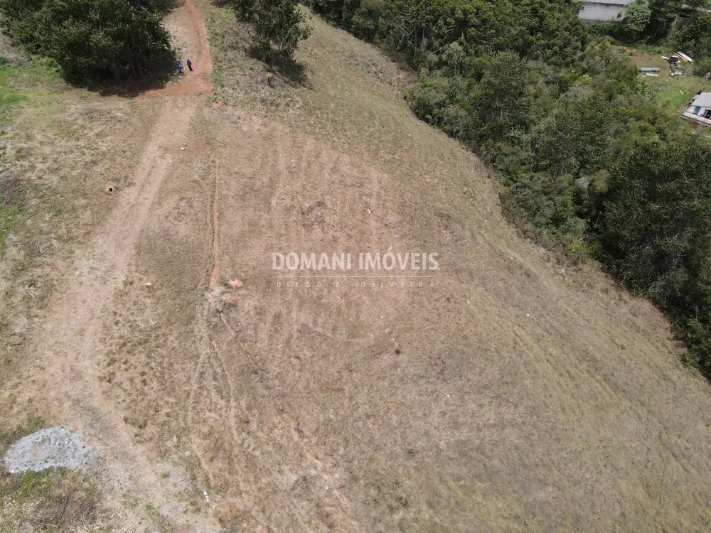 Terreno, 6000 m² - Foto 7