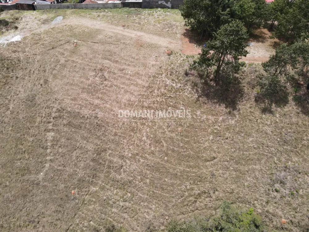 Terreno, 6000 m² - Foto 3