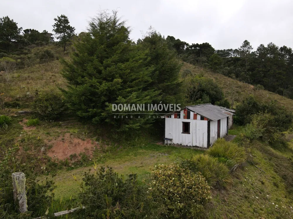 Terreno, 12 hectares - Foto 4