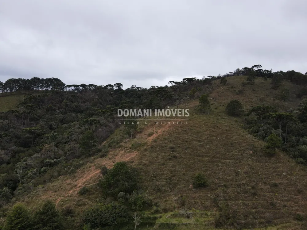 Terreno, 12 hectares - Foto 2