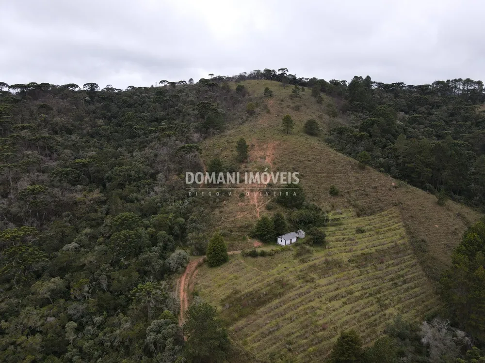 Terreno, 12 hectares - Foto 3